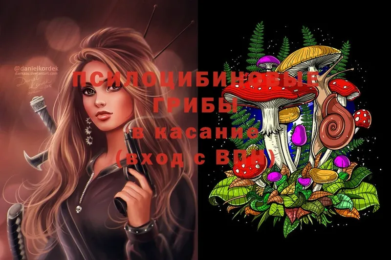 Магазины продажи наркотиков Тосно Канабис  Альфа ПВП  COCAIN  ГАШИШ  Меф мяу мяу 