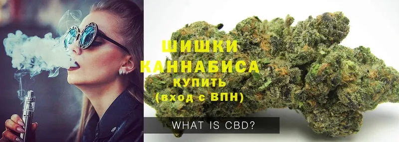 Бошки марихуана LSD WEED  гидра ссылка  Тосно  маркетплейс какой сайт  цены наркотик 